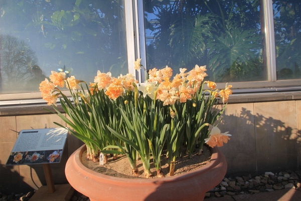 Fruehling   030.jpg
